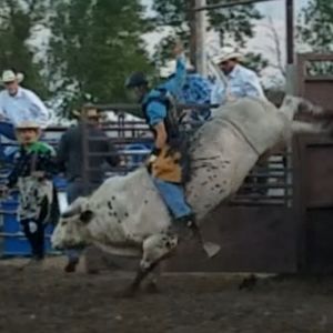 Meet your Posher, Dominic